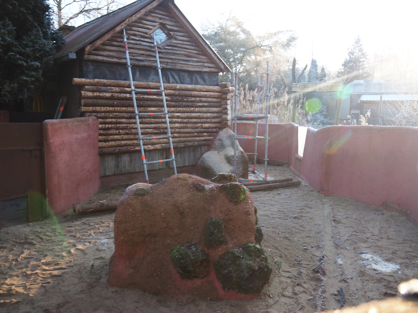 Common wombat exhibit renovations (Jan 20th, 2019)