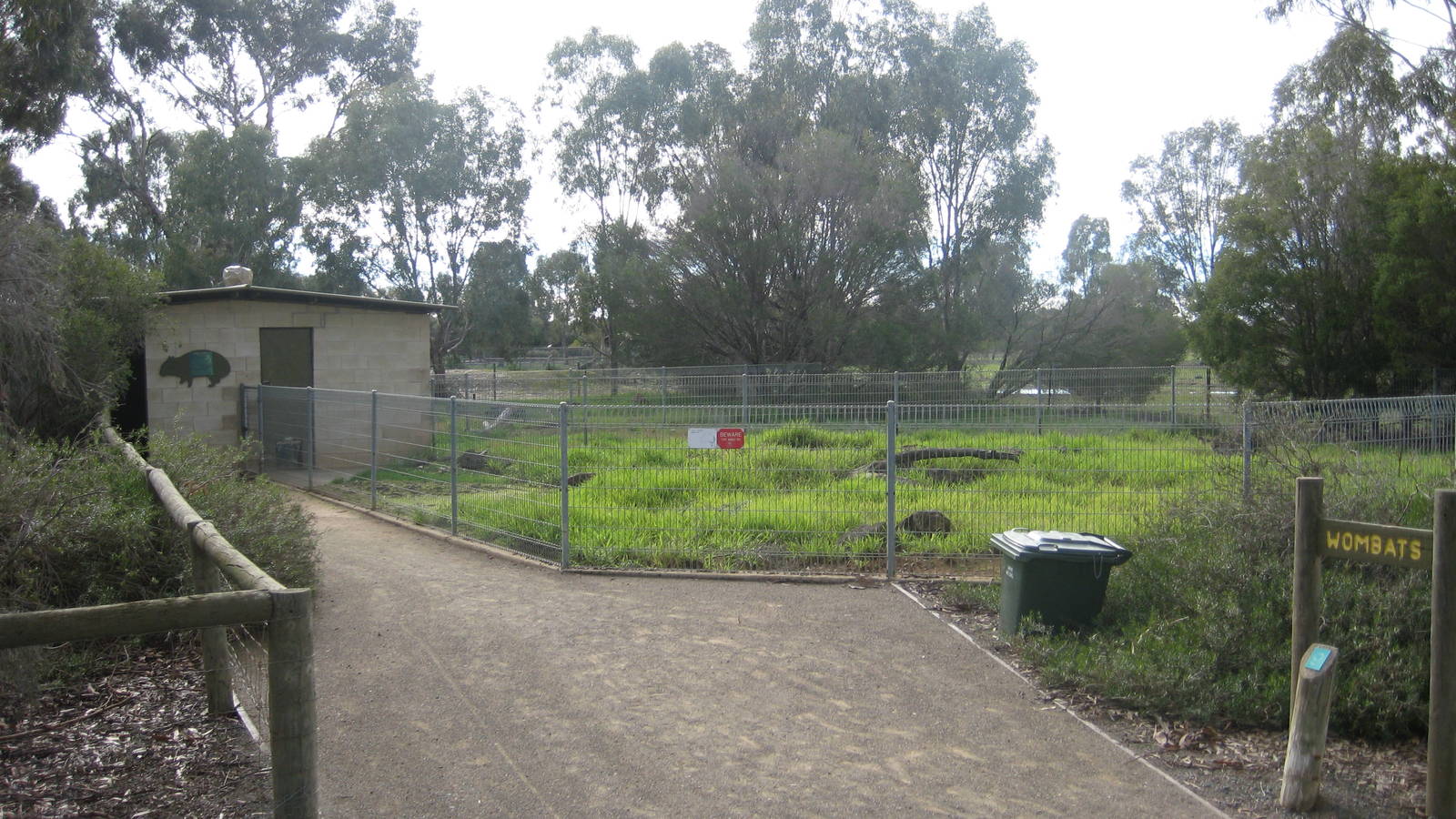 Common Wombat Exhibit