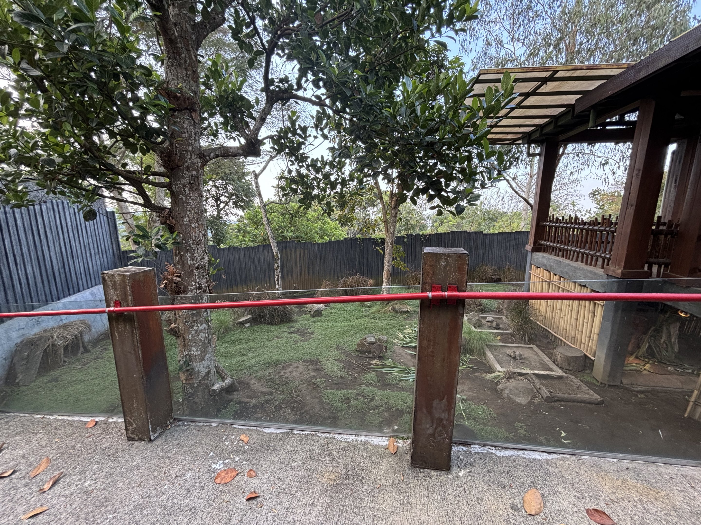 Common Wombat Exhibit