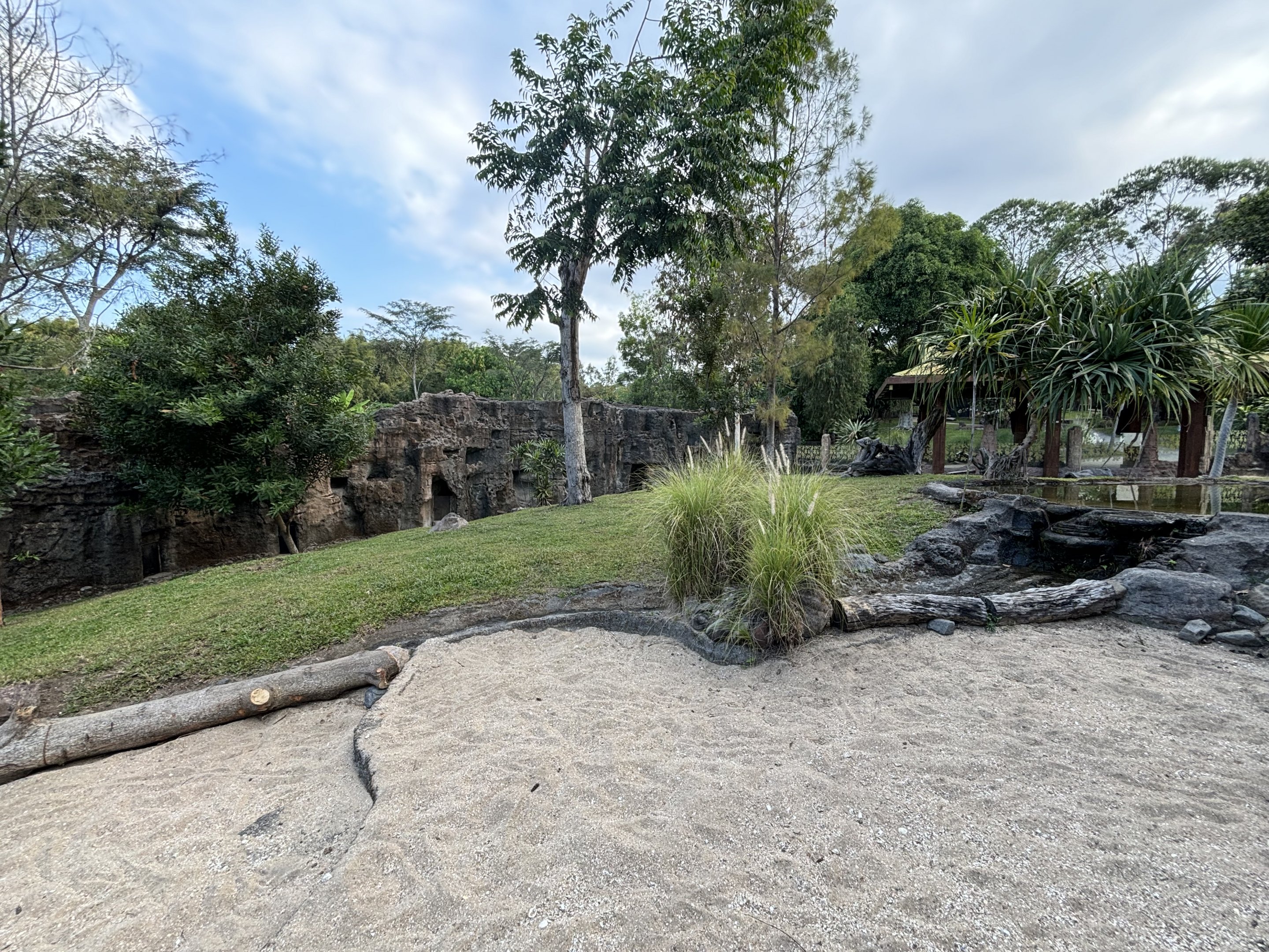 Common Wombat Exhibit