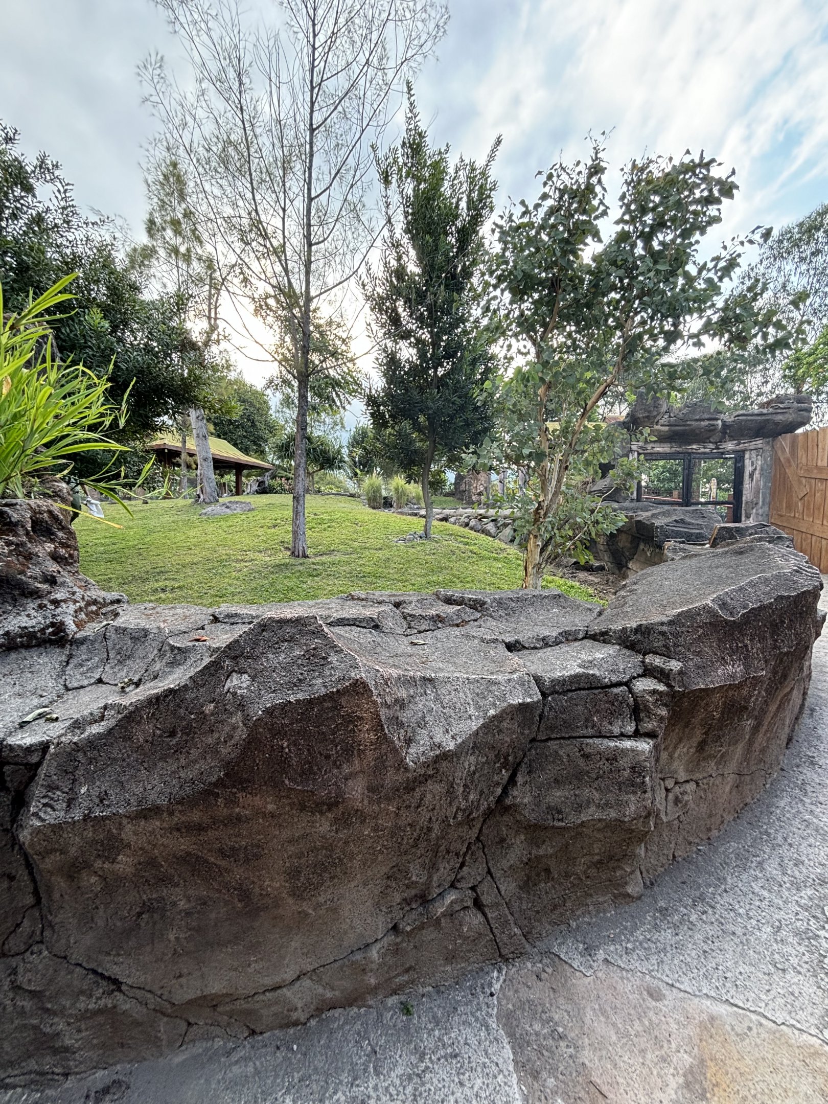 Common Wombat Exhibit
