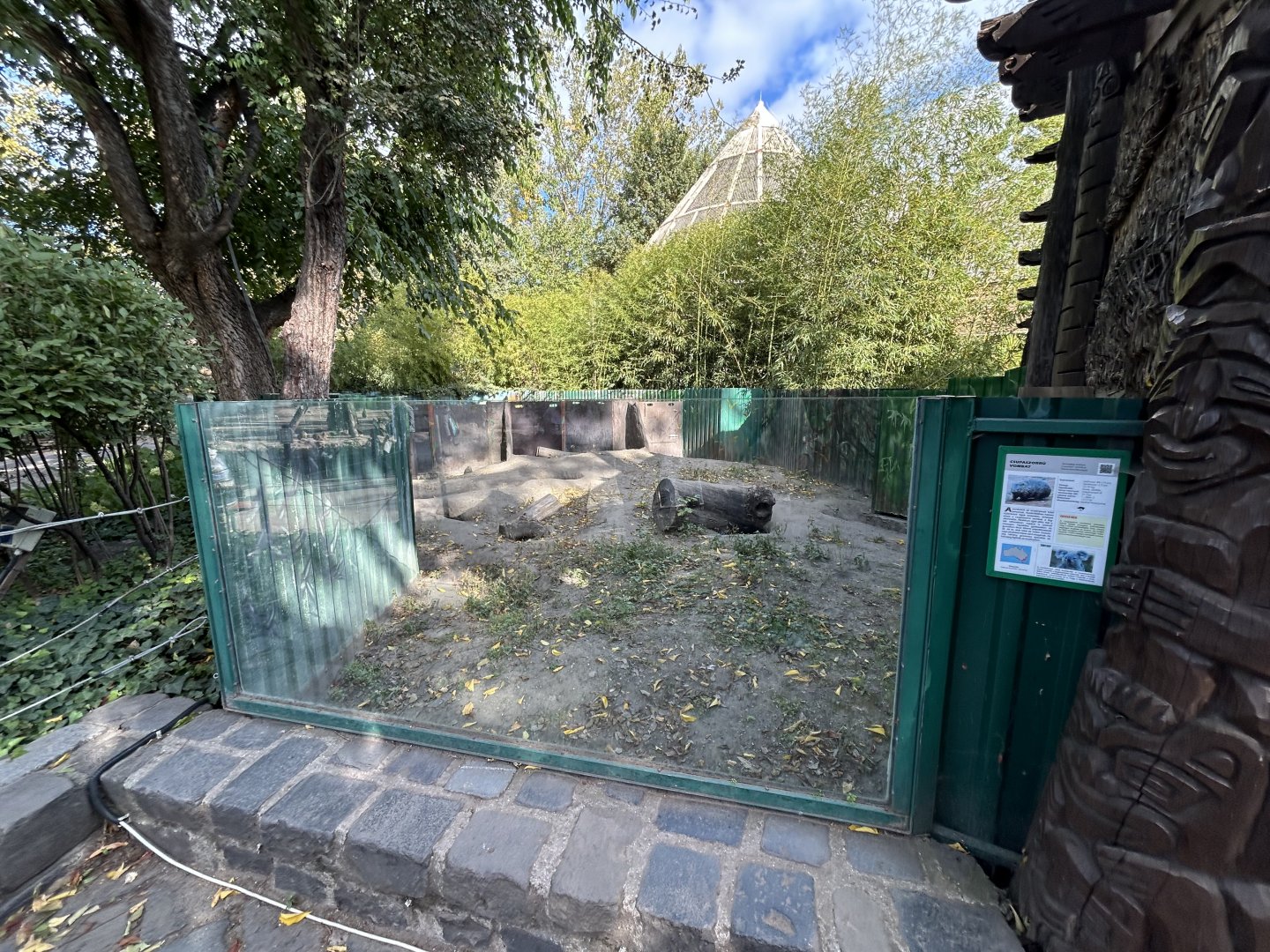 Common Wombat Exhibit