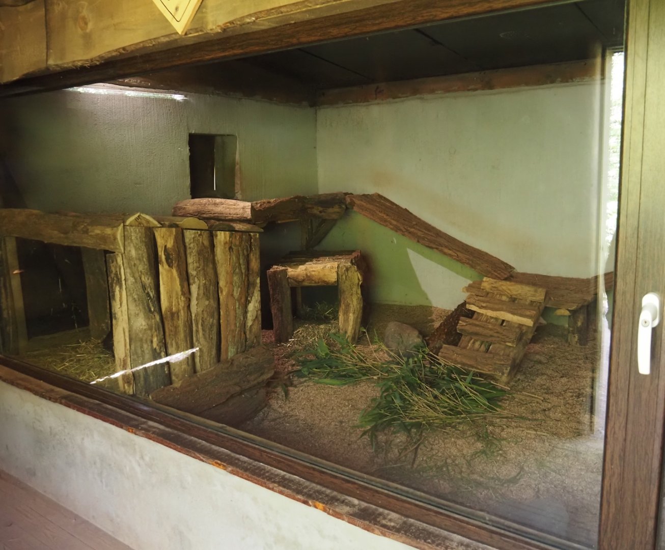 Common wombat indoor exhibit, 2024-09-17