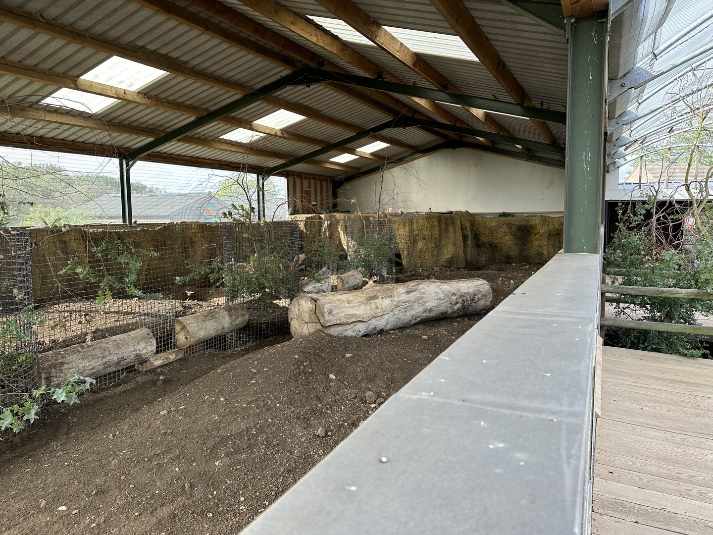 Common Wombat Outdoor Enclosure at Hamerton Zoo Park (October 2023)