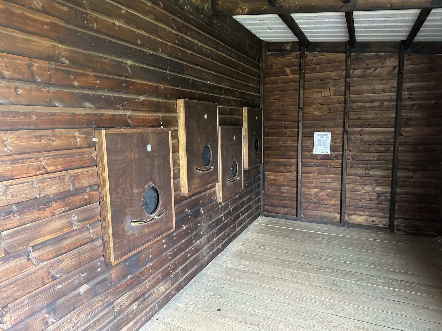 Common Wombat Viewing Area at Hamerton Zoo Park (October 2023)