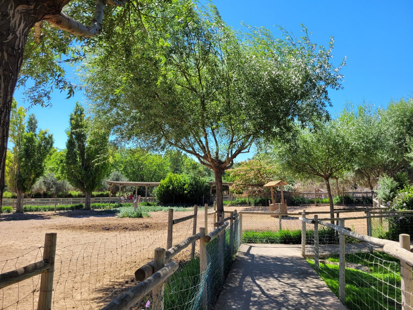 Common zebra and Common ostrich exhibit -Sendaviva (2024)