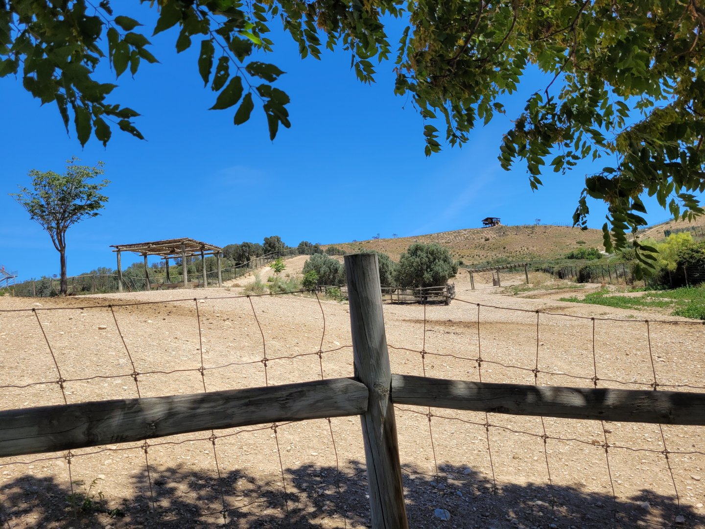 Common zebra and Common ostrich exhibit -Sendaviva (2024)