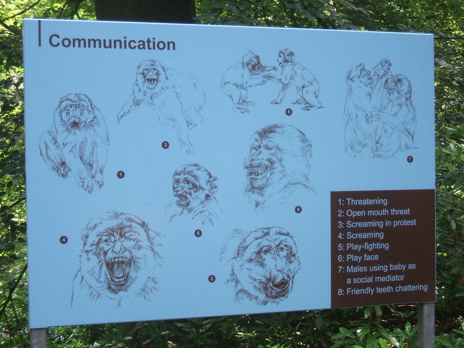 Communication sign