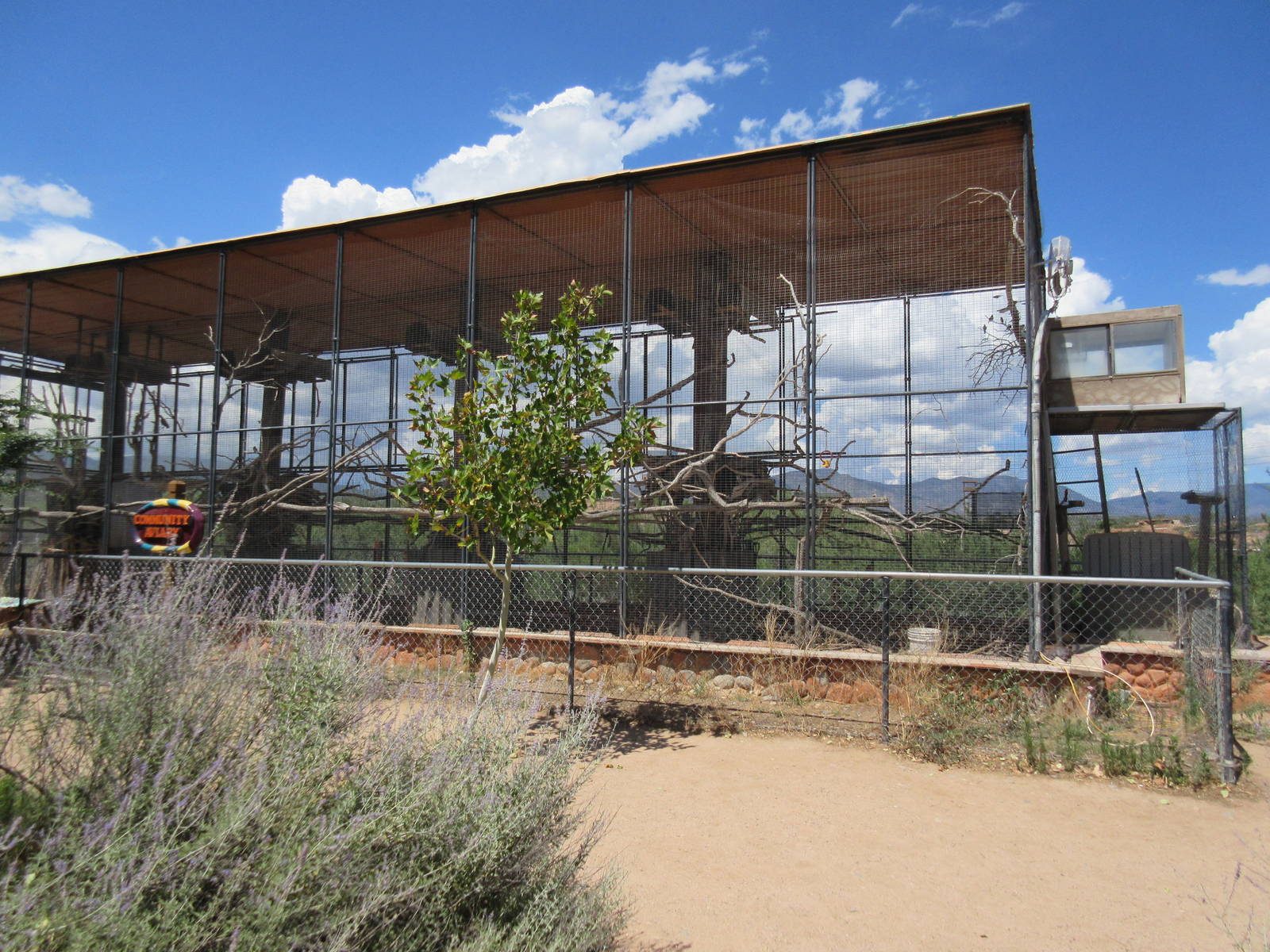 Community Aviary (6 Species)