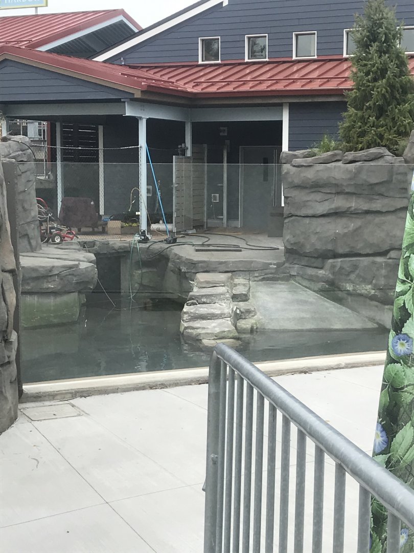 Como harbor- cove habitat