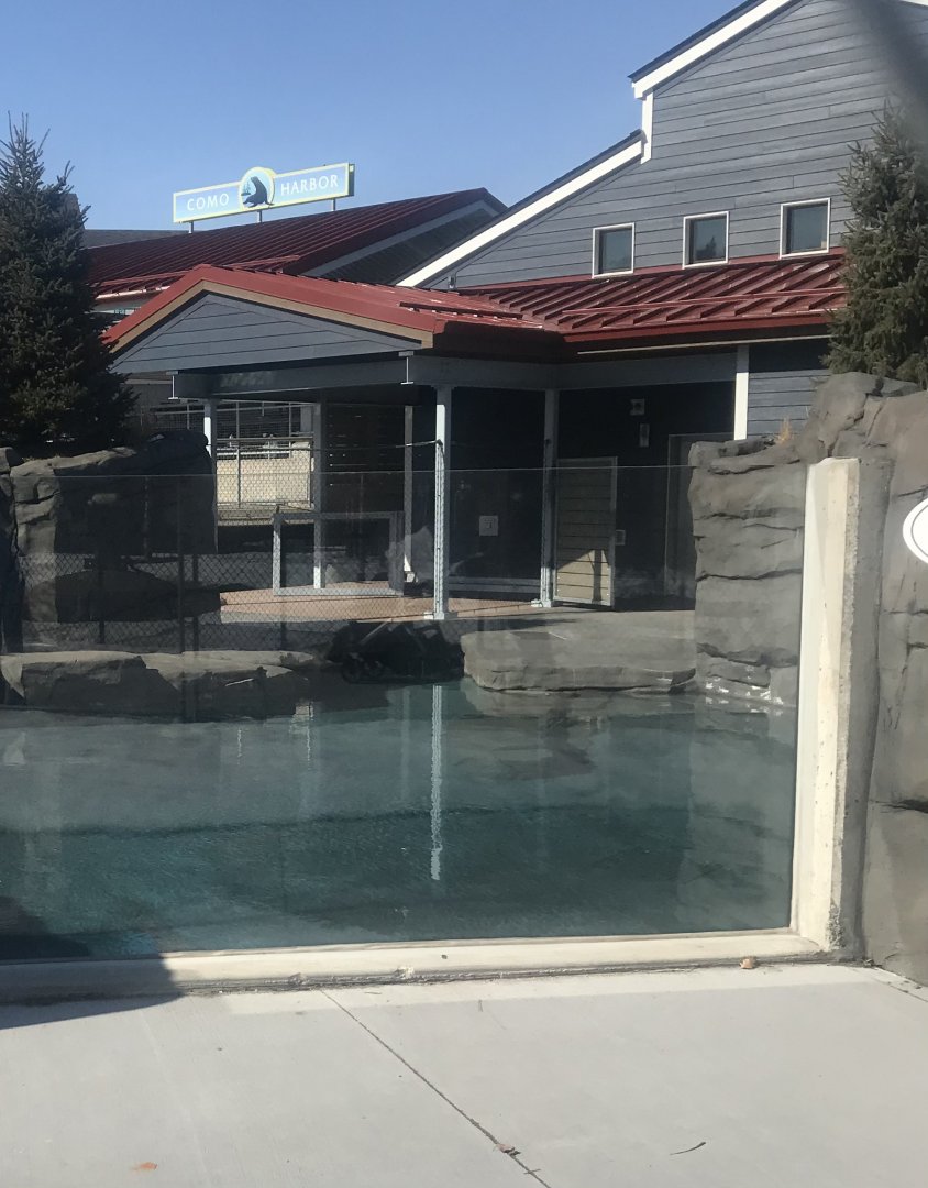 Como harbor- smaller seal/ sea lion enclosure
