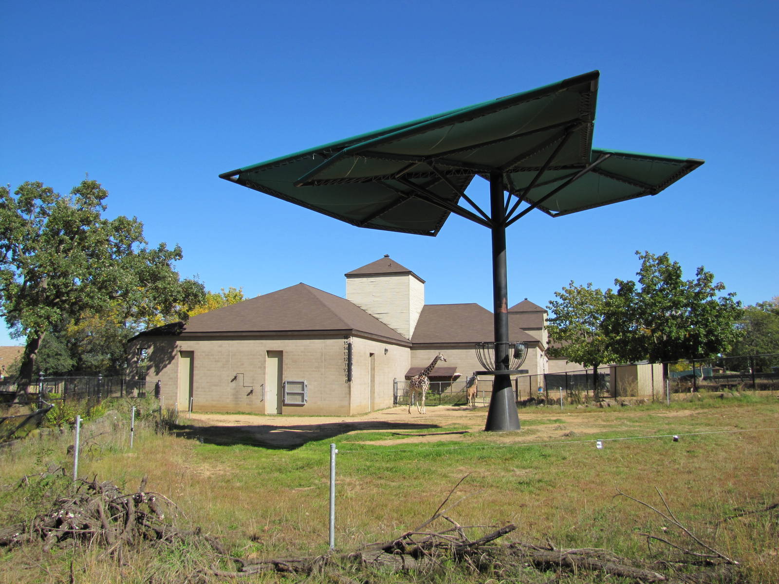 Como Zoo 2010 - A sun shelter from the future