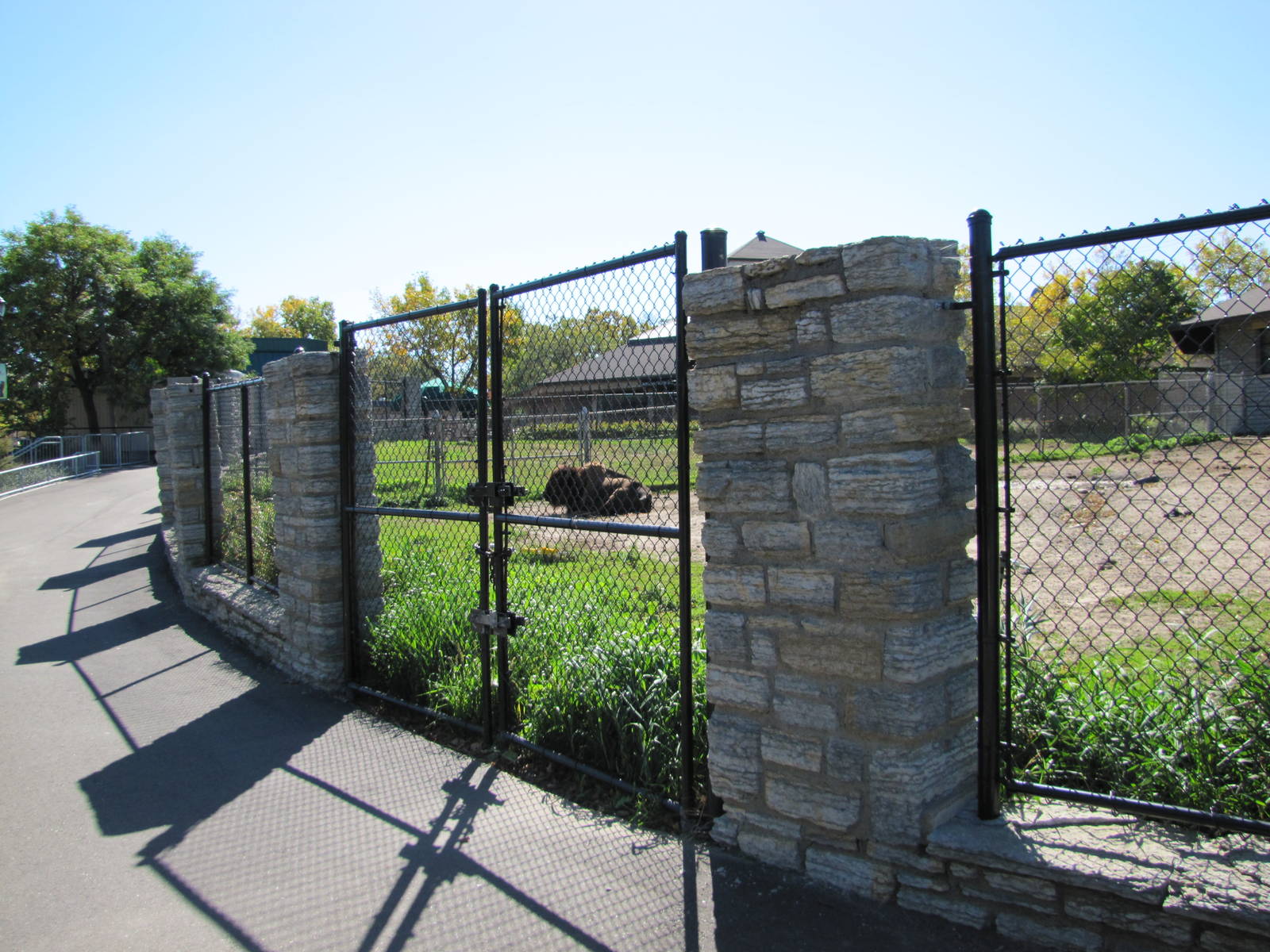 Como Zoo 2010 - Alongside American Bison enclosure to the left