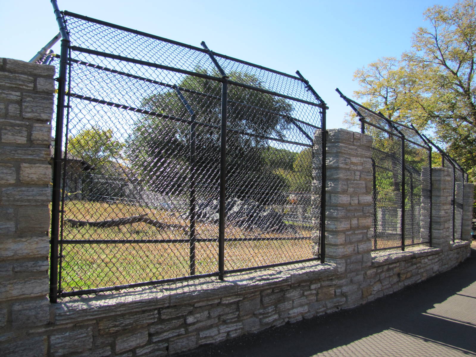Como Zoo 2010 - Alongside American Bison enclosure to the right