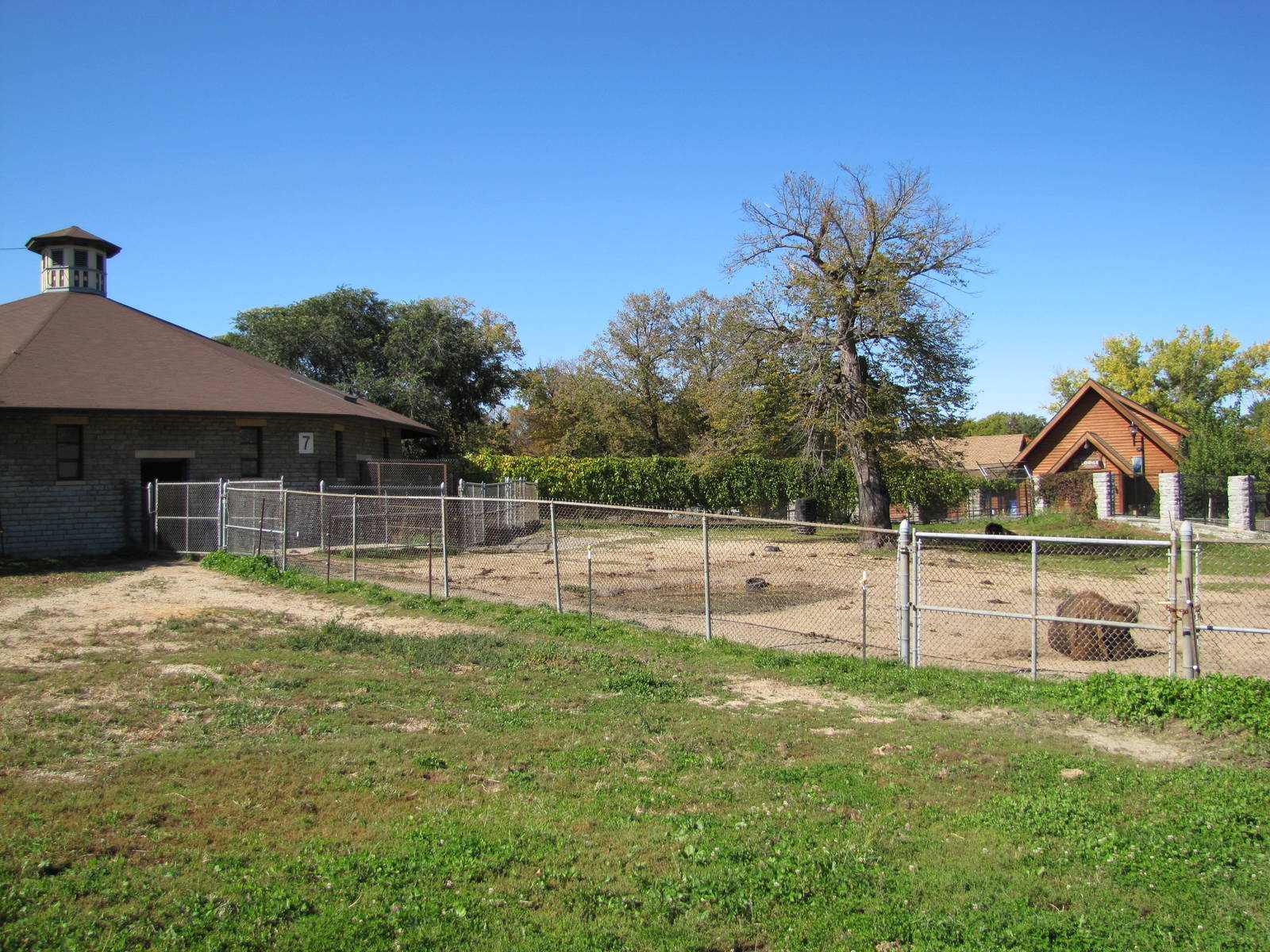 Como Zoo 2010 - American Bison enclosure