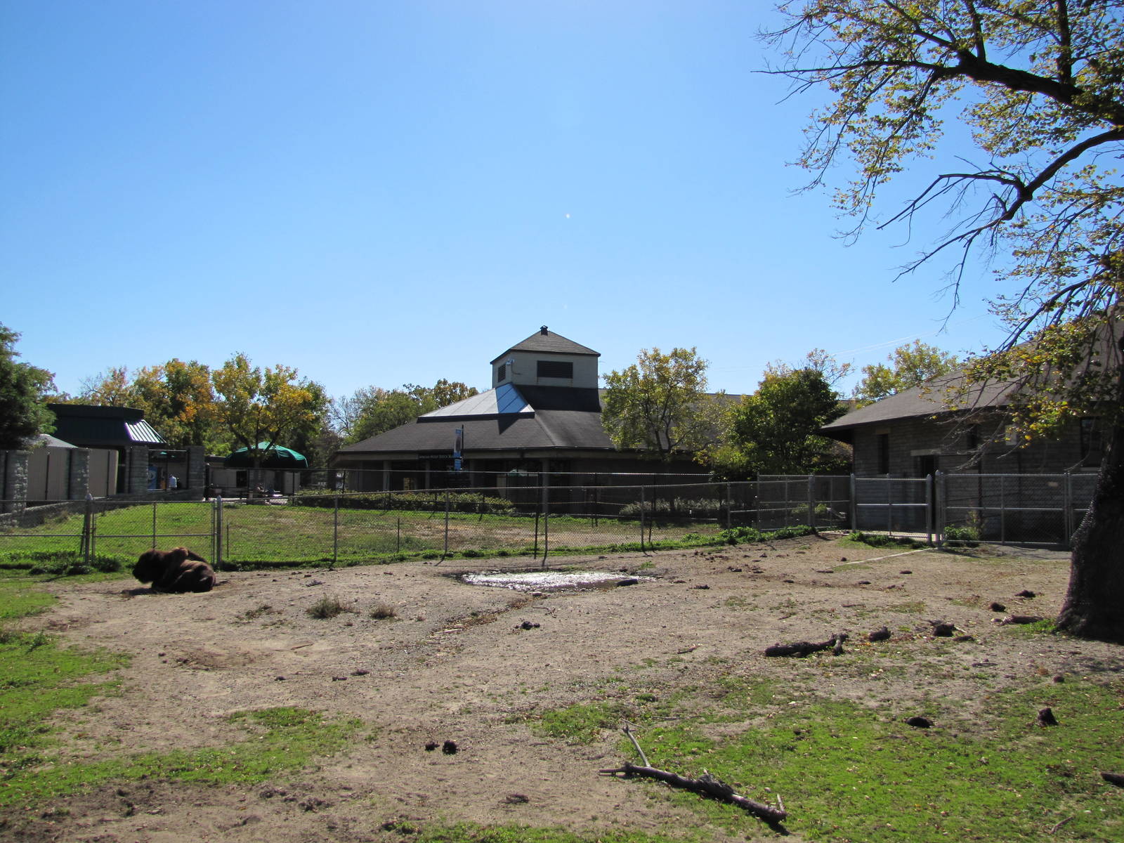 Como Zoo 2010 - American Bison enclosure