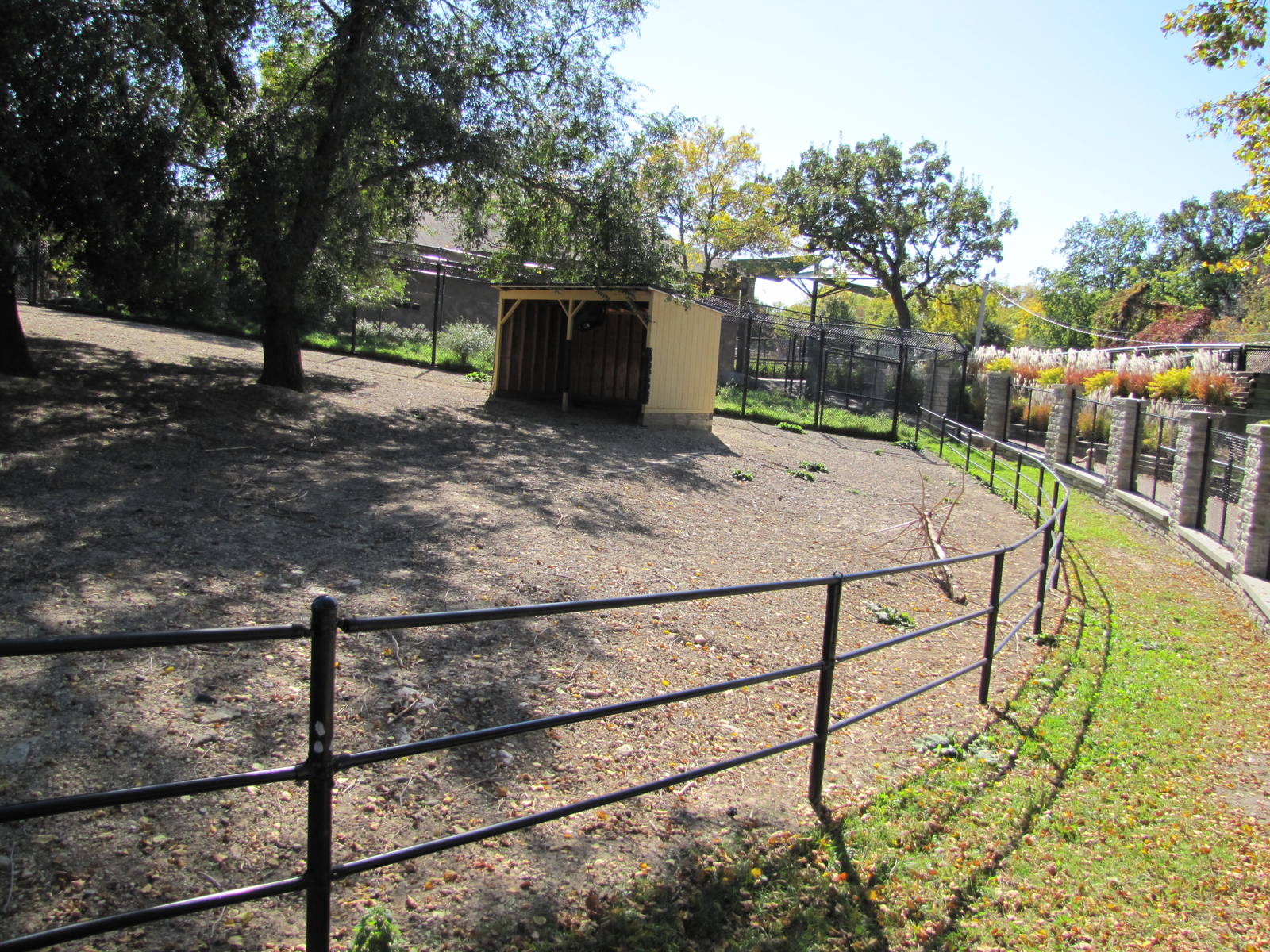 Como Zoo 2010 - Bottom of Bison enclosure and part of one for Dalls Sheep