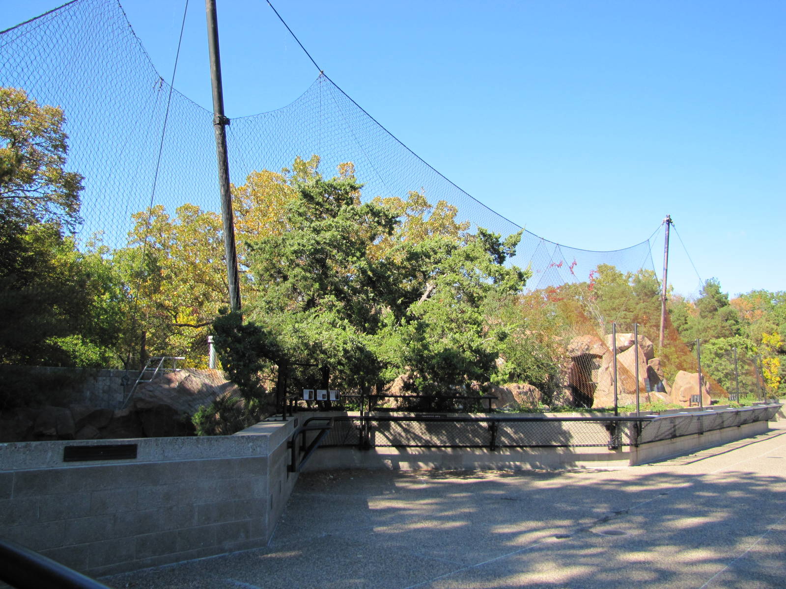 Como Zoo 2010 - Cougar and Snow Leopard enclosures