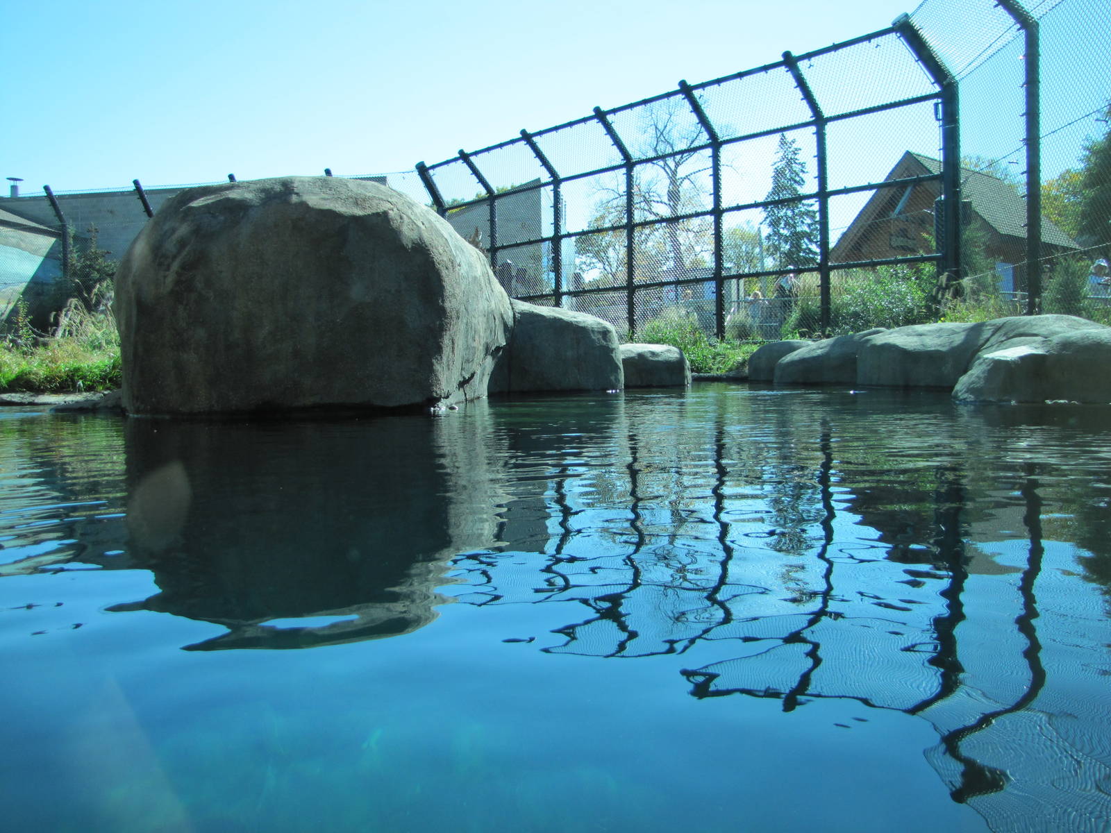Como Zoo 2010 - First part of the larger Polar Bear exhibit