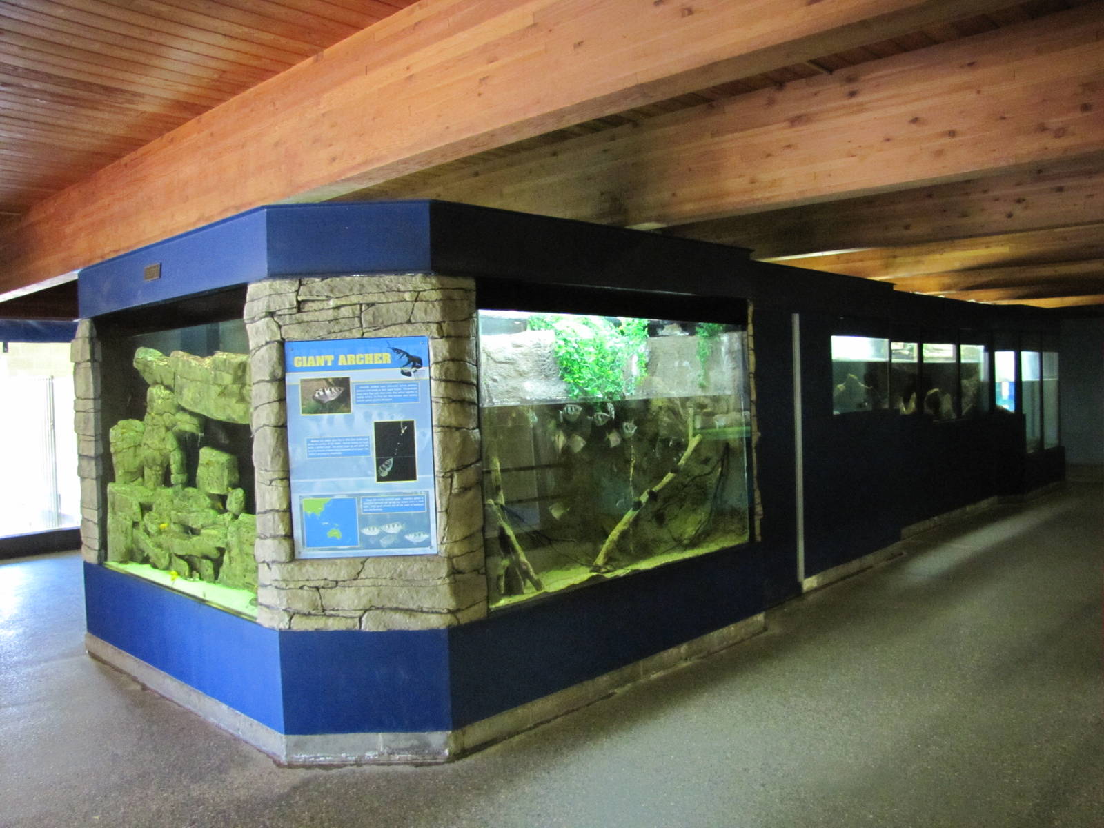 Como Zoo 2010 - General view inside the Aquatic Animals building