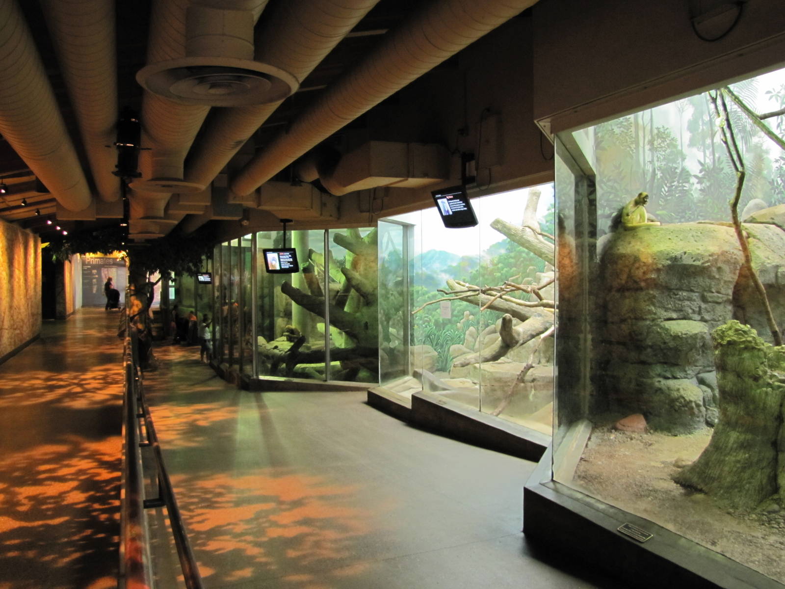 Como Zoo 2010 - General view inside the Primate House