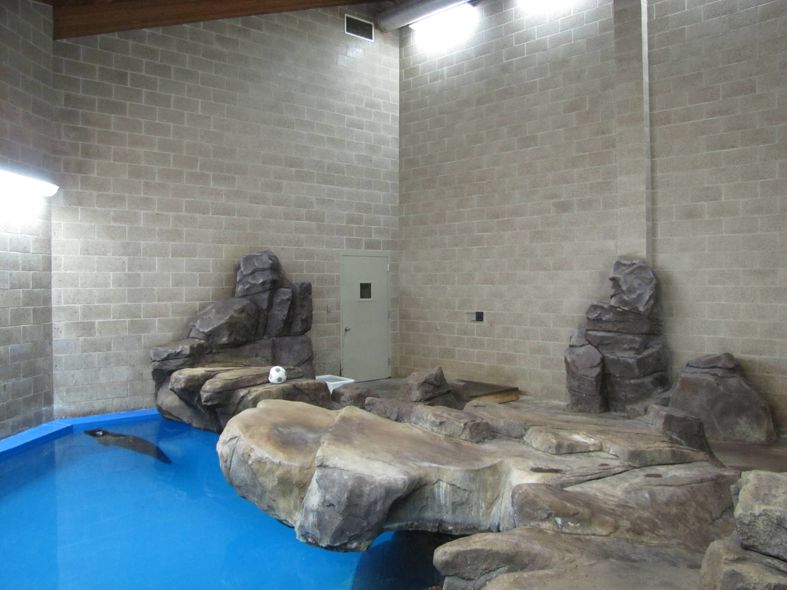 Como Zoo 2010 - Left side of indoor Common Seal pool
