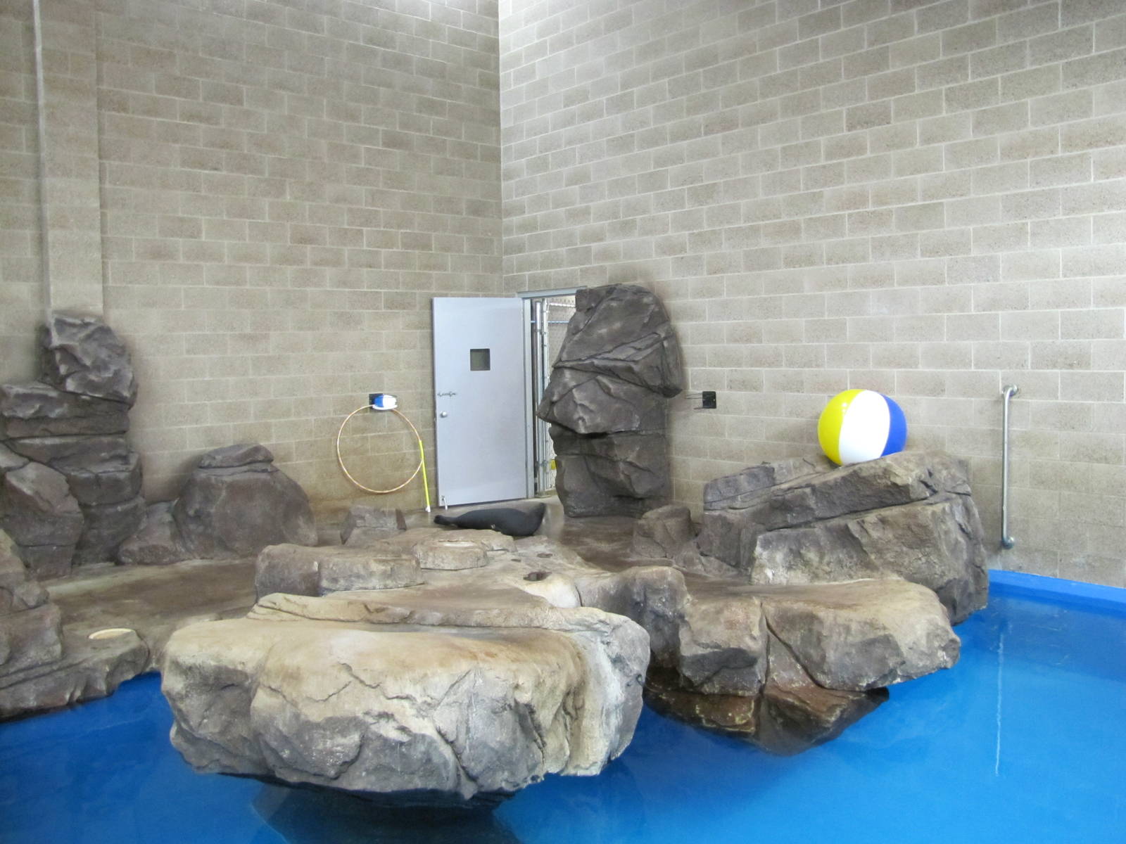 Como Zoo 2010 - Right side of indoor Common Seal pool