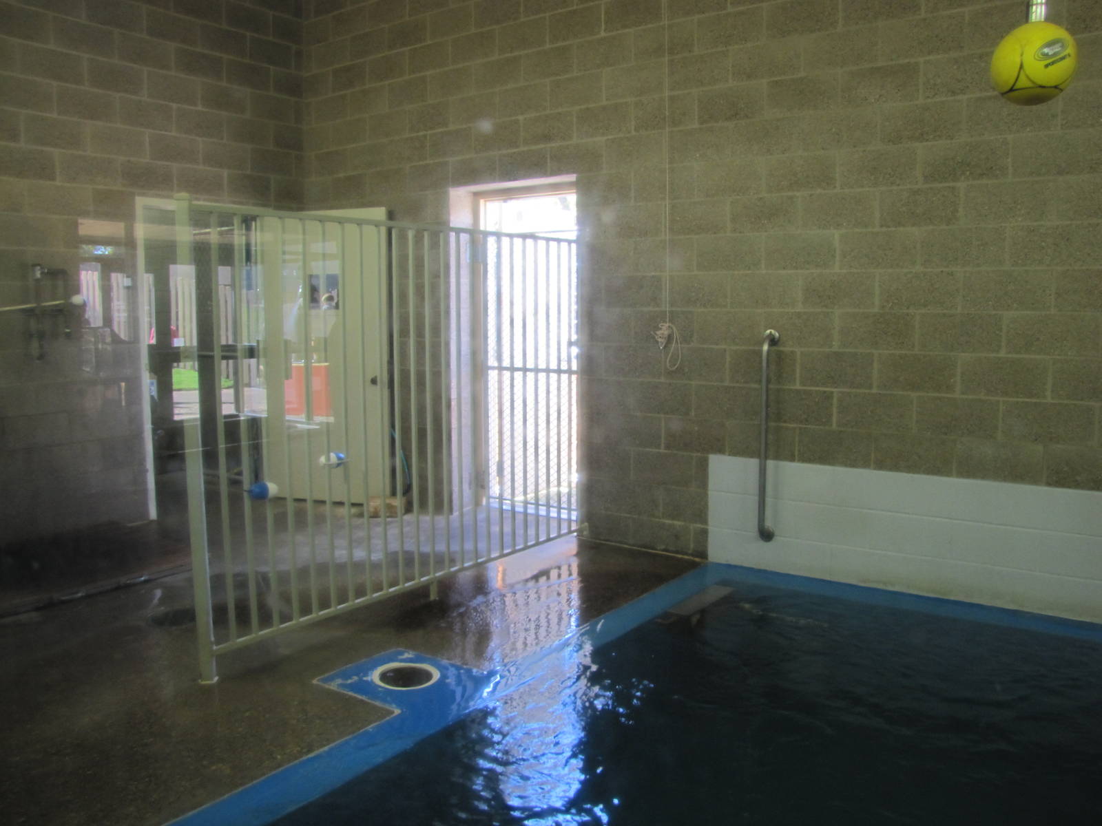 Como Zoo 2010 - Sea Lion inside the Aquatic Animals building