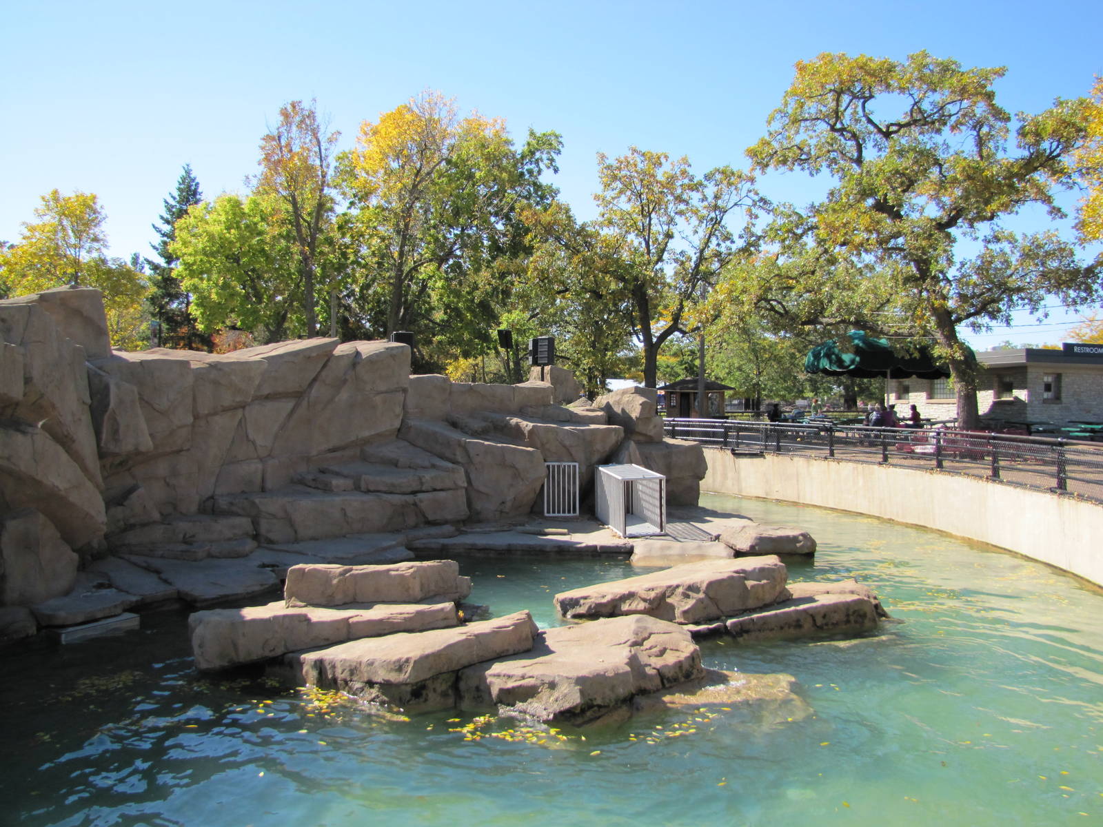 Como Zoo 2010 - Sea Lion Pool