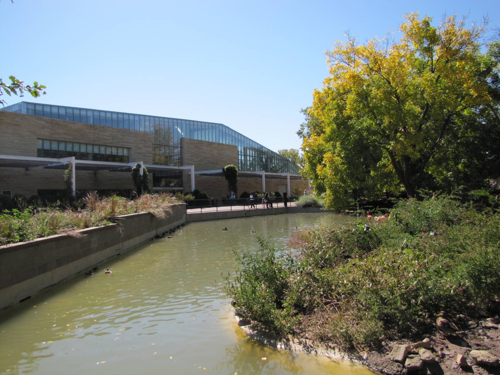 Como Zoo 2010 - Seasonal waterfowl exhibit