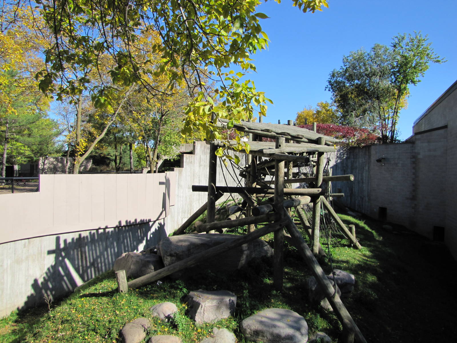 Como Zoo 2010 - Second part of the Gorilla outdoor exhibit