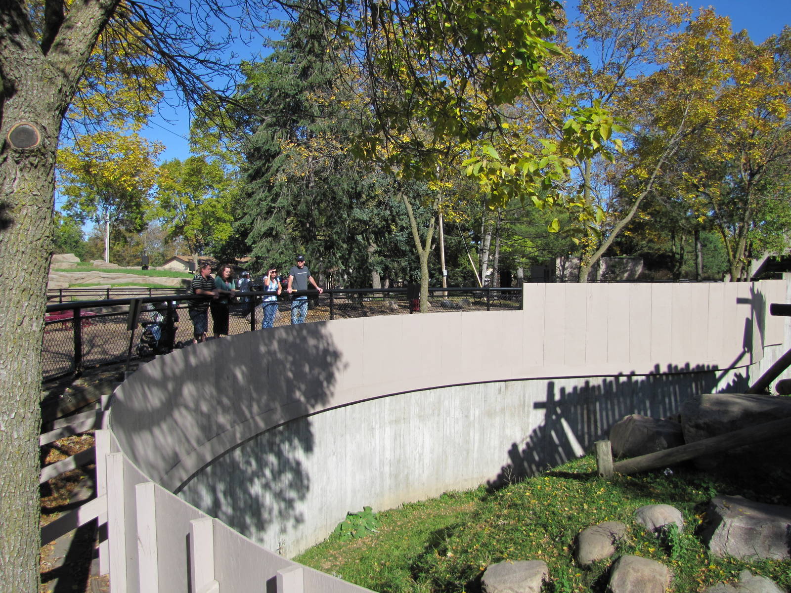 Como Zoo 2010 - Third part of the Gorilla outdoor exhibit