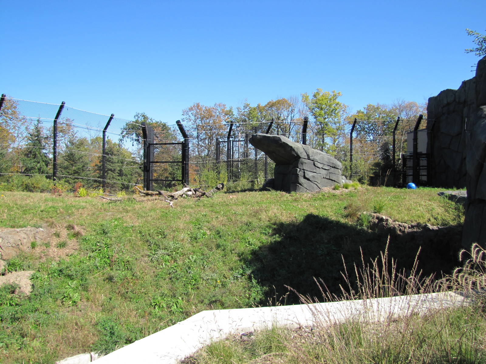 Como Zoo 2010 - Third part of the larger Polar Bear exhibit