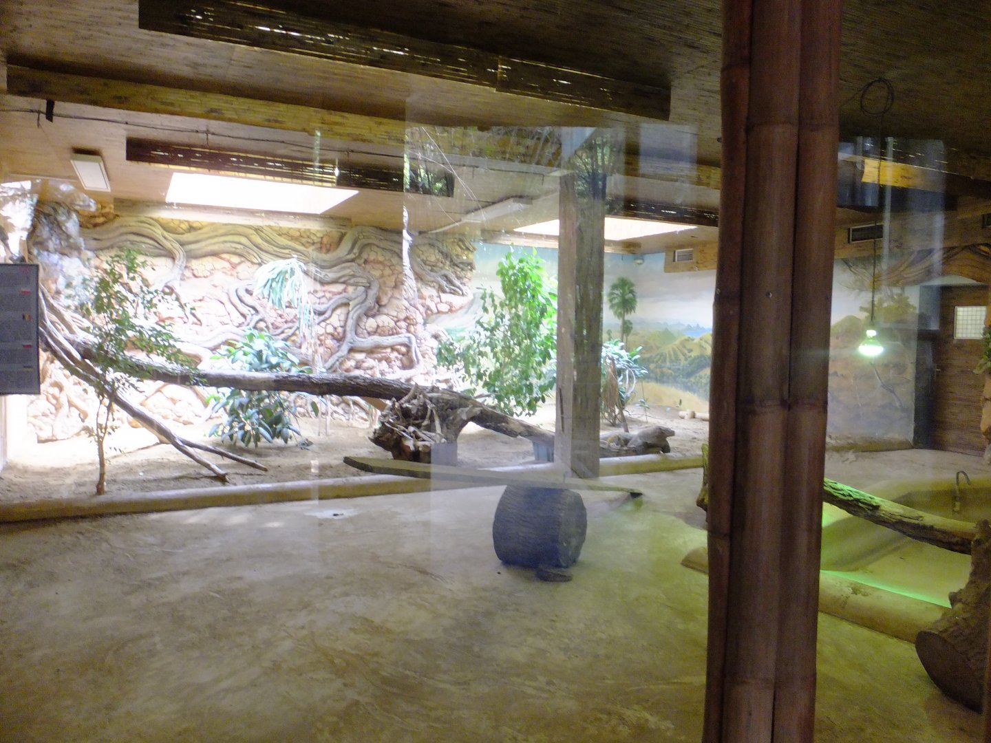 Comodo dragon enclosure