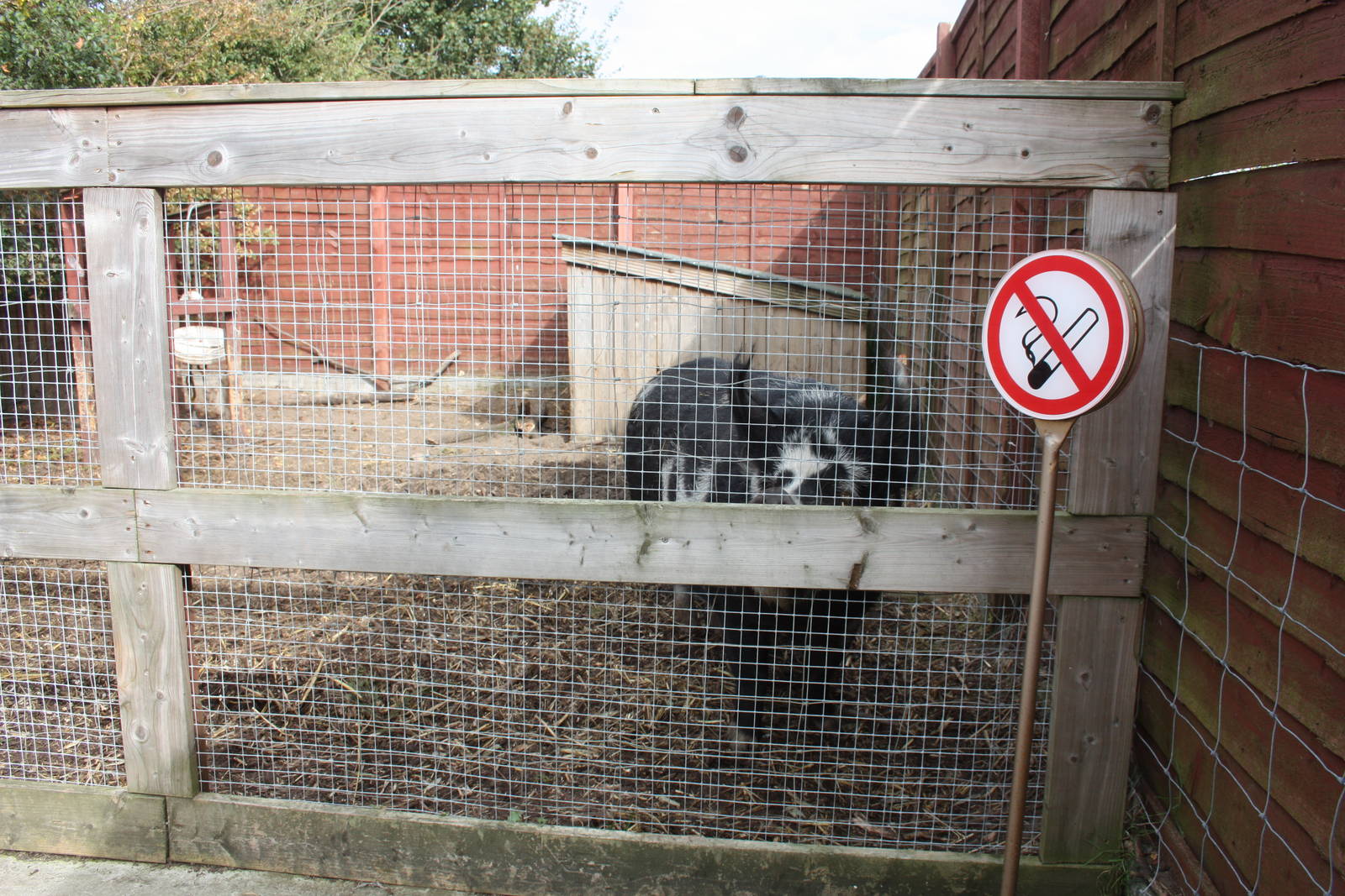 Company for my picnic, 23rd September 2014