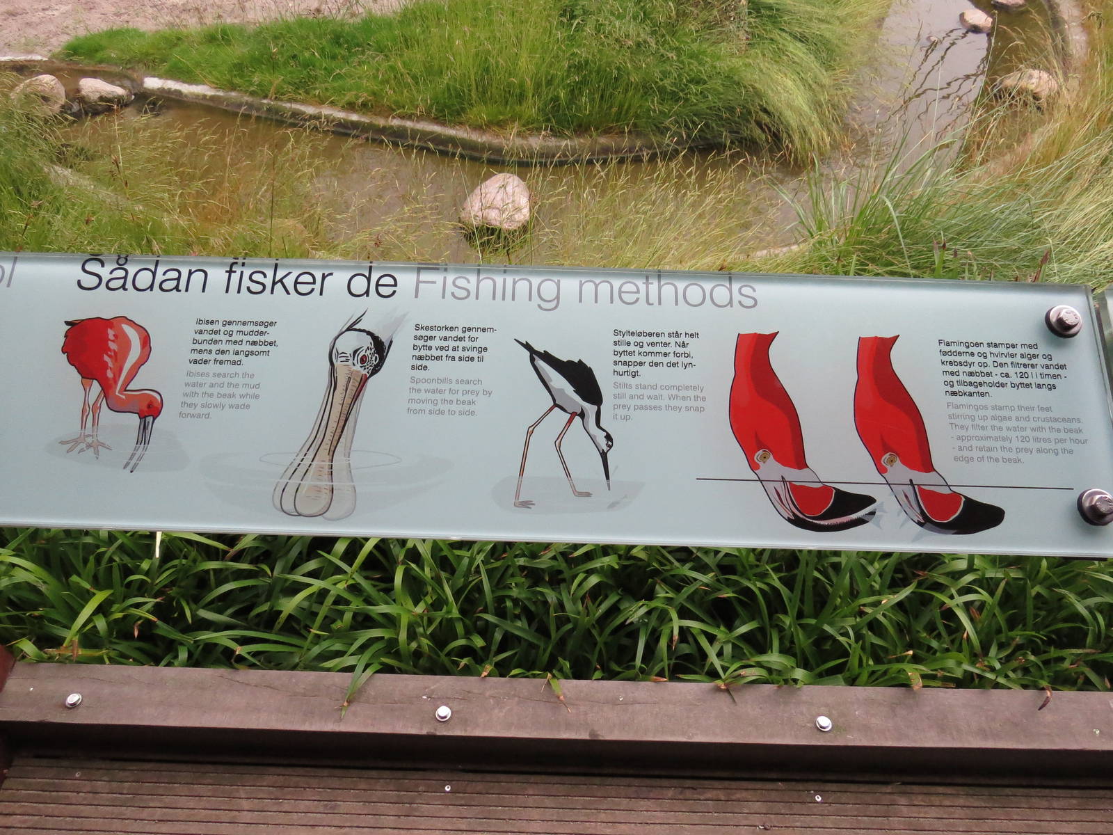 Comparative sign, June 2015.