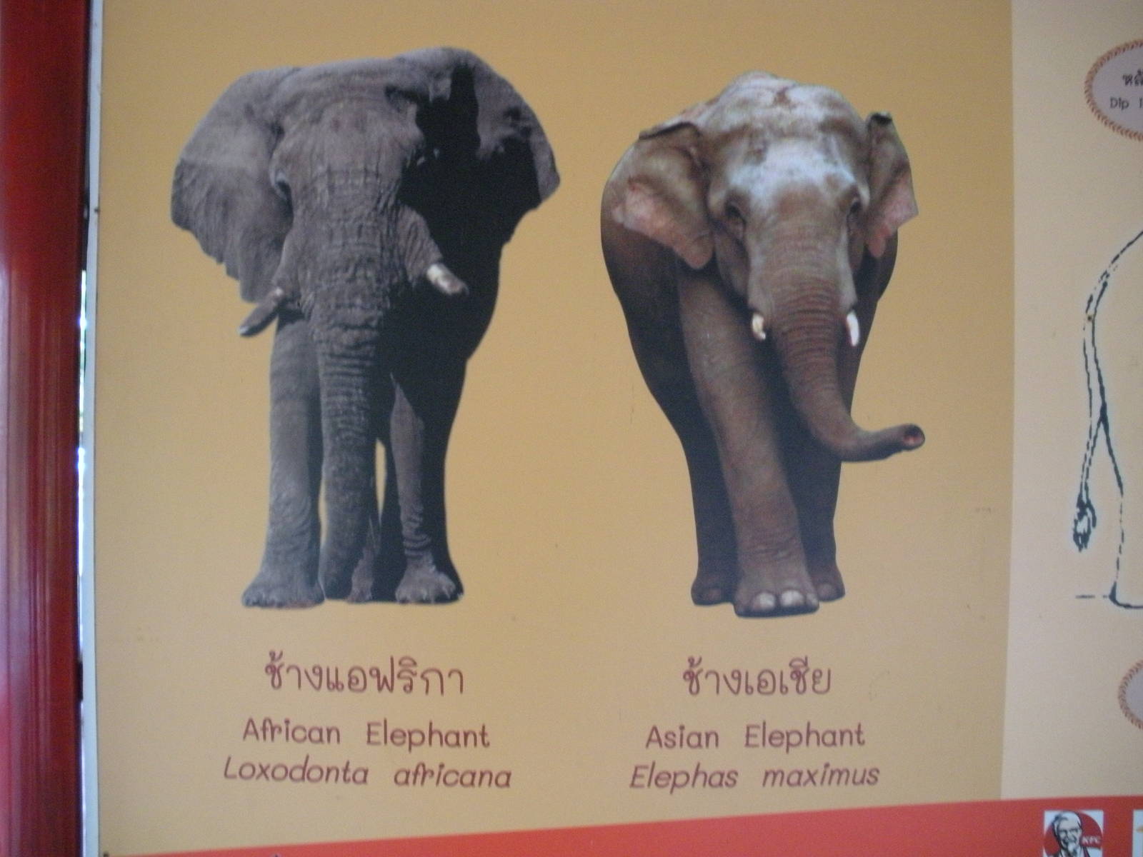 Comparison signage