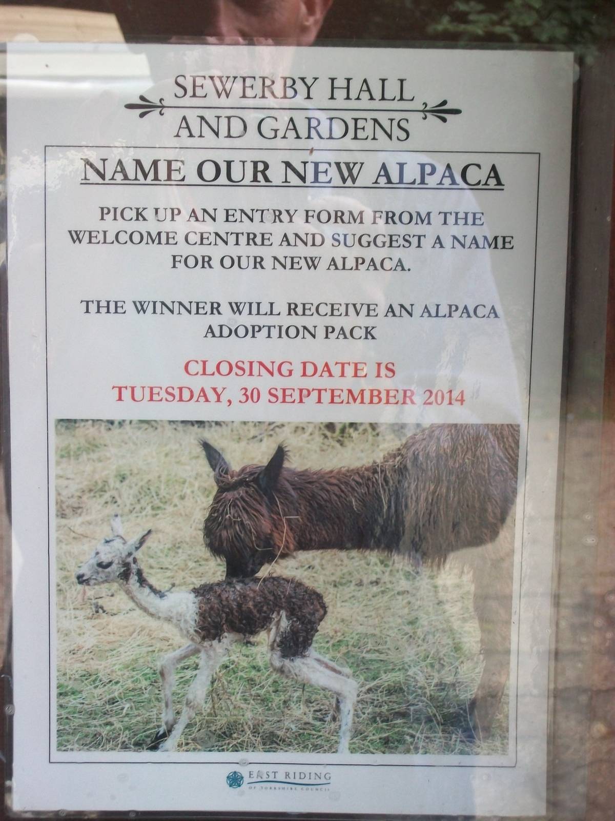 Competition signage, 12th September 2014