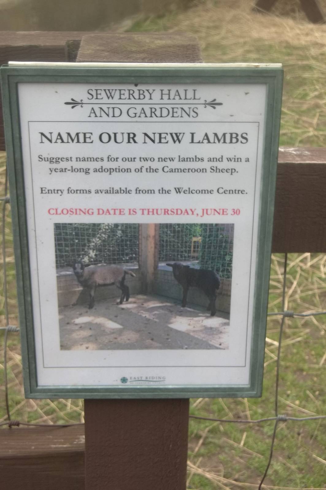 Competition Signage, 17th June 2016