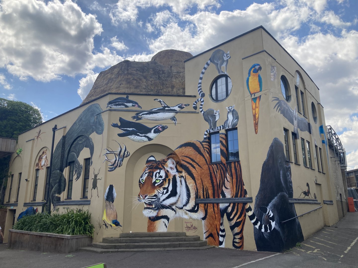 Completed art on former aquarium