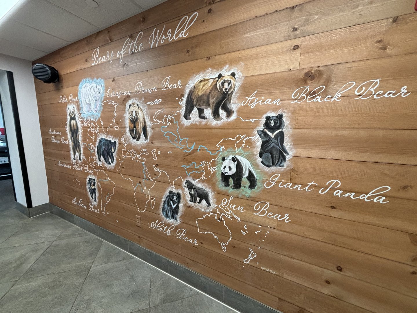 Completed Bear Wall In The Cafe
