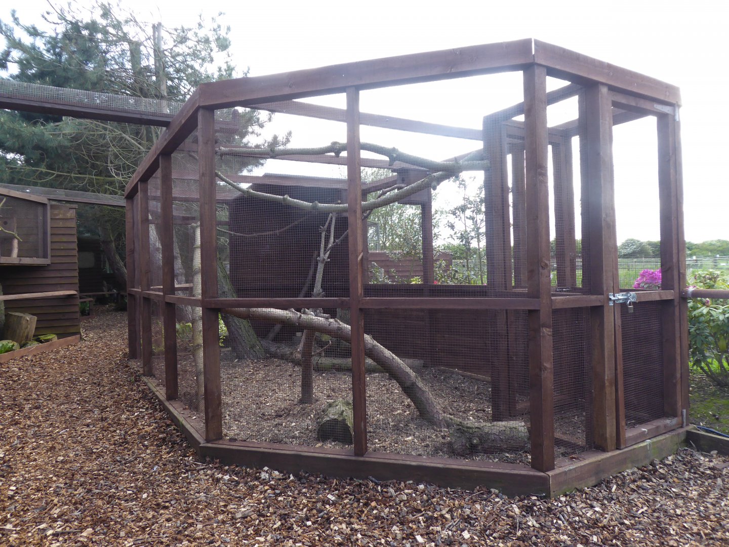 Completed Chipmunk exhibit, 21st May 2017