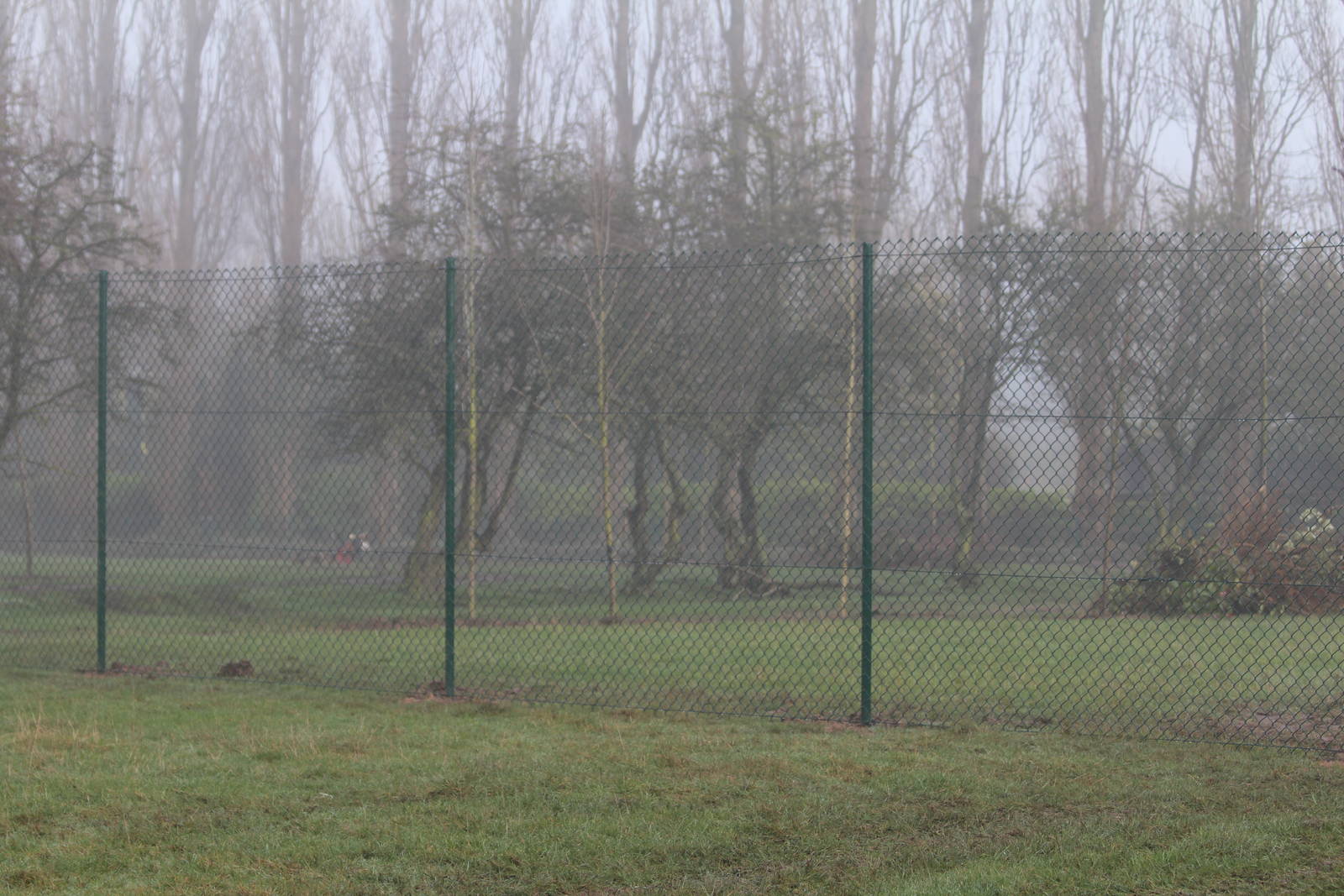 Completed division fence in former Sitatunga paddock