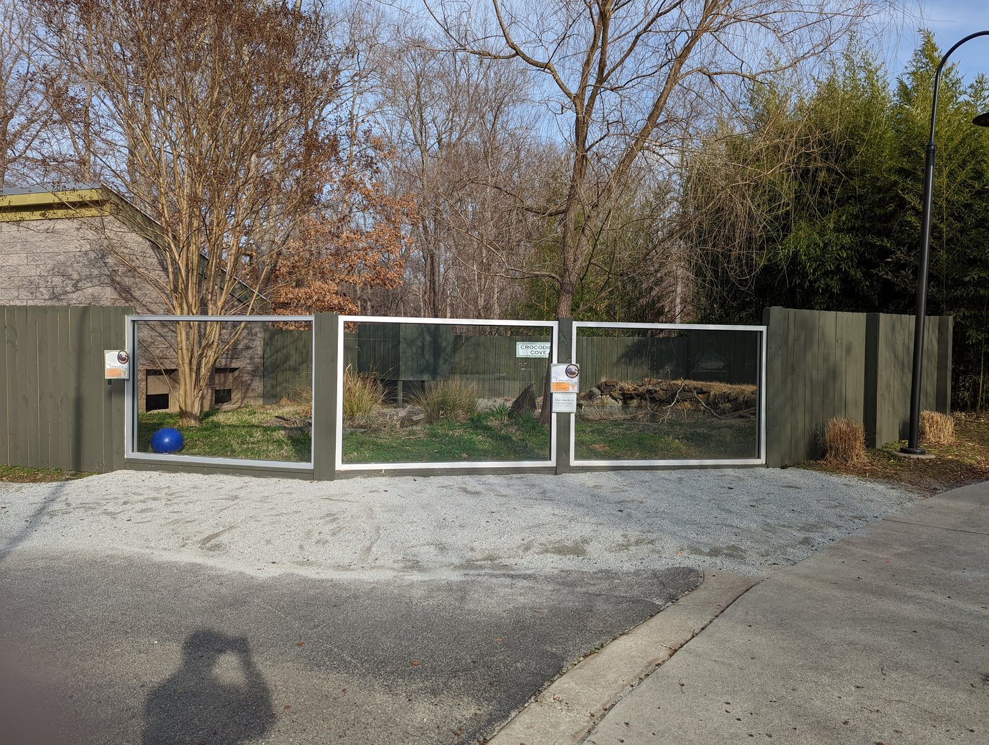 Completed Nile Crocodile exhibit renovations