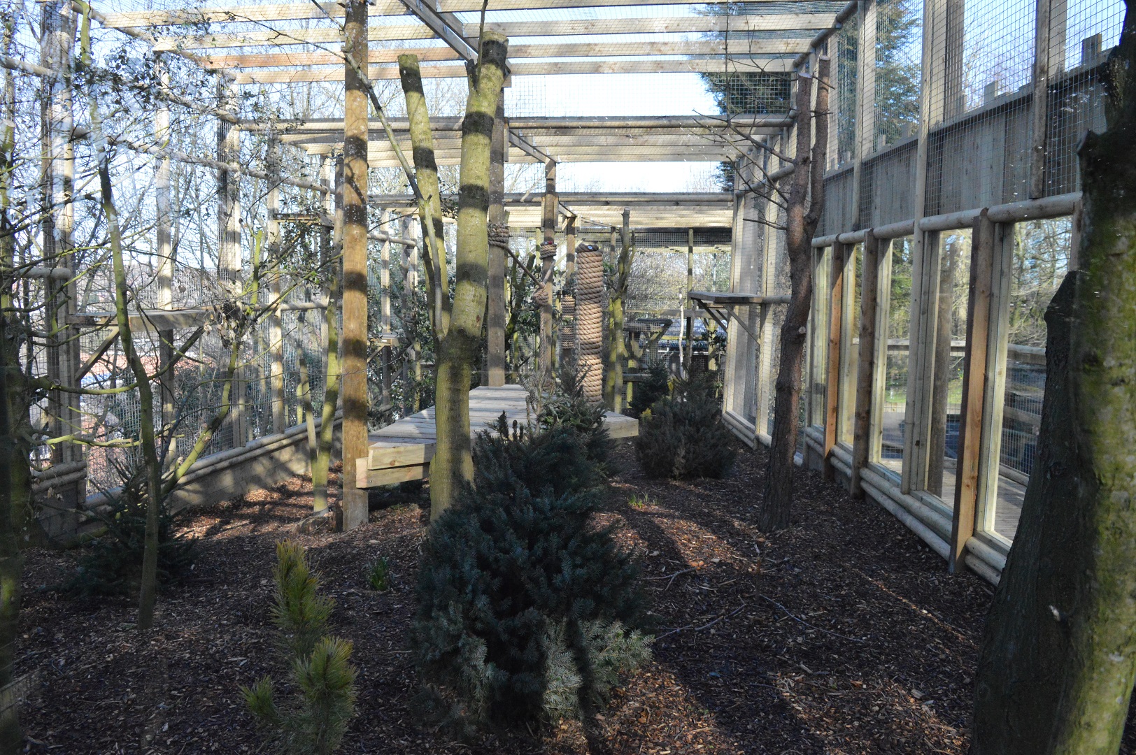 Completed snow leopard extension