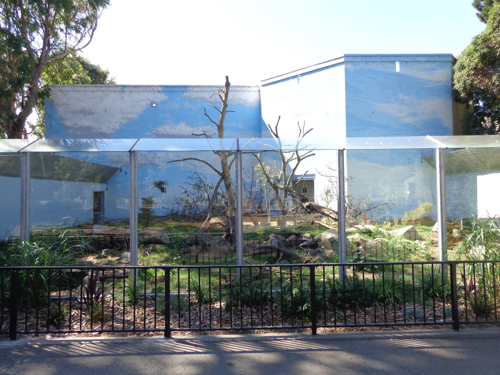 Completed Wolverine Exhibit