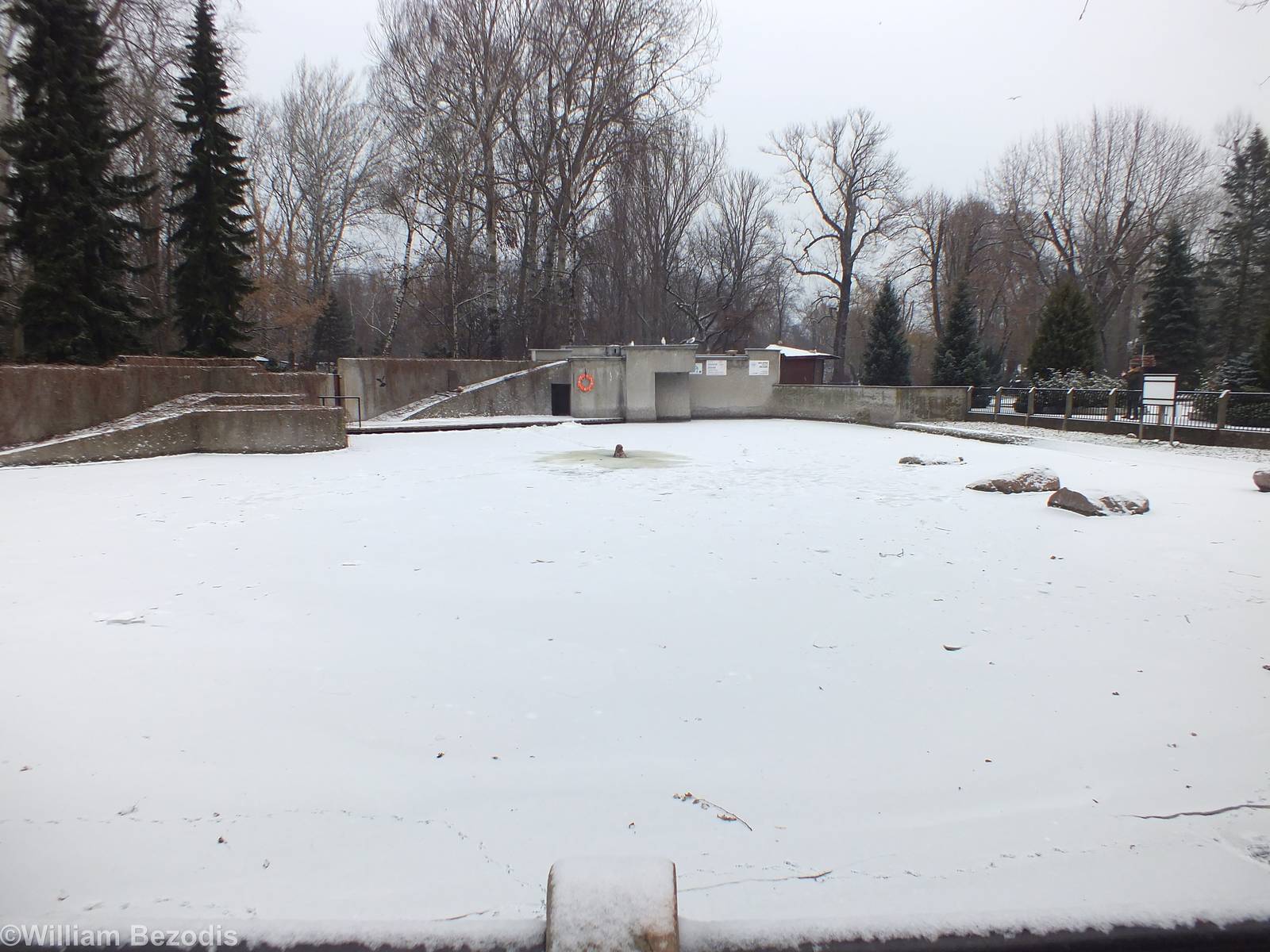 Completely Iced-over Seal Enclosure