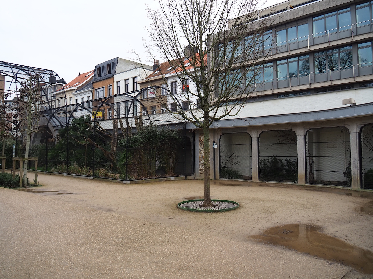 Complex of reconstructed 1850's aviaries, 2024-02-17