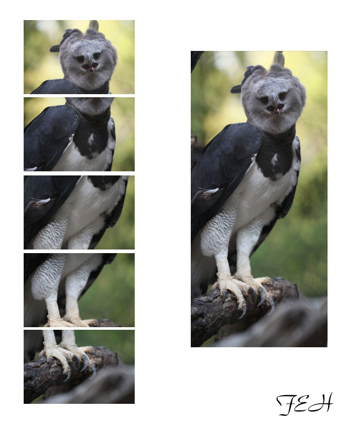 complex route to fence blur