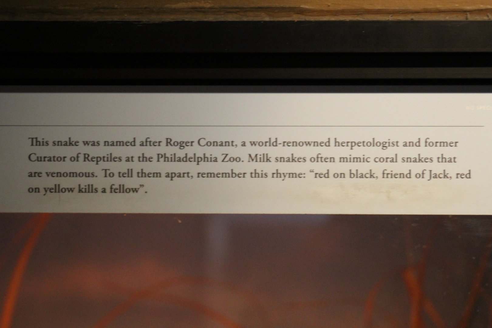 Conant's Milk Snake Signage